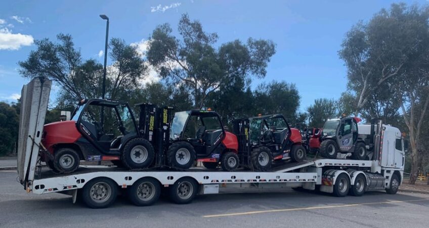 4 bobcats being transported
