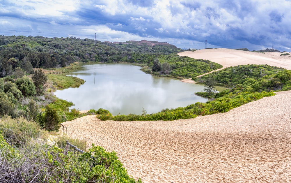 Tow Truck and Tilt Tray Hire in Sutherland Shire