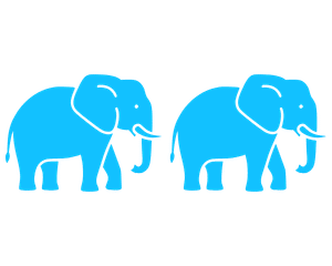 Two elephant icons representing a load of about 12 tonnes
